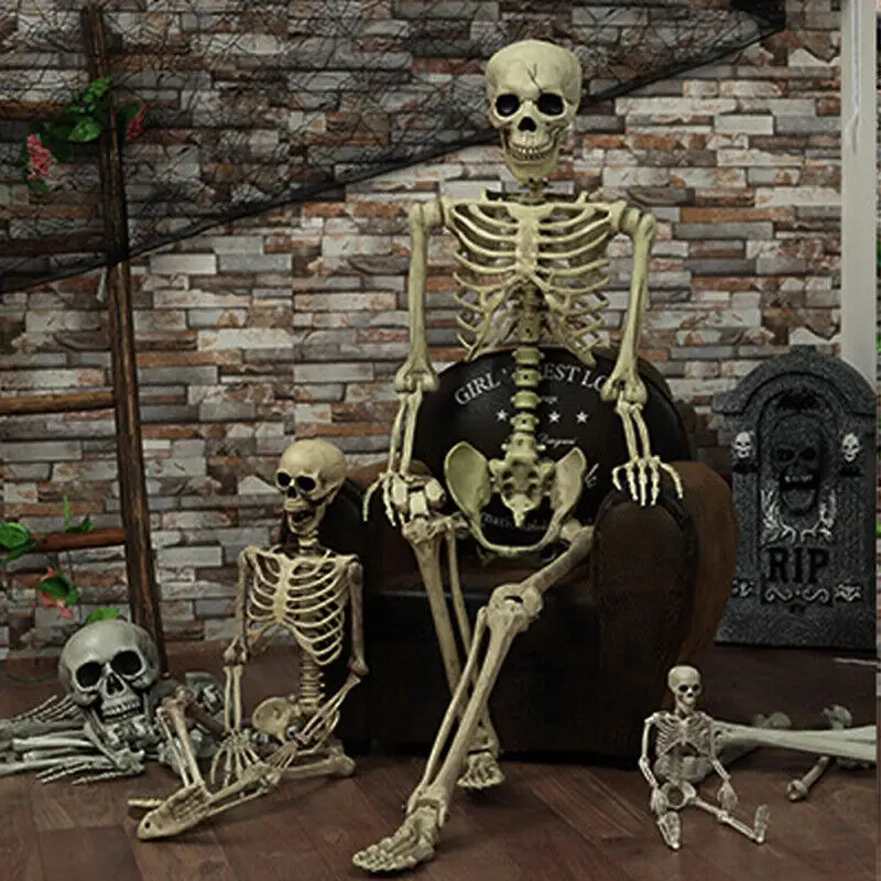 1Pcs Halloween Prop Human Skeleton Full Size Skull Hand Life Body Anatomy Model Decor Miniatures