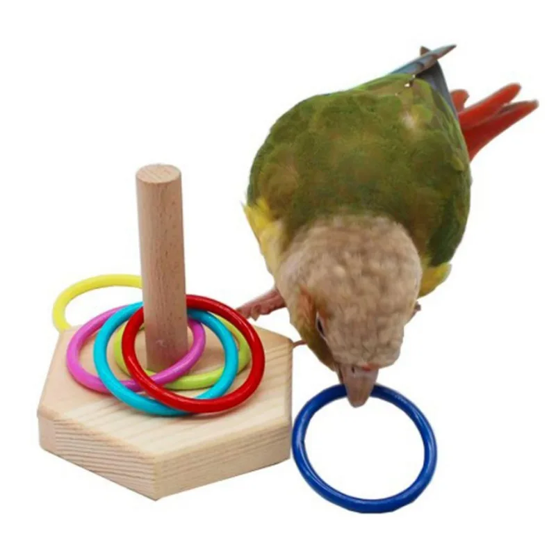 

Деревянное кольцо для птиц, развивающая игрушка, обучающая игрушка для обучения, Игрушка для птиц, товары для попугаев, развивающая игрушка ...