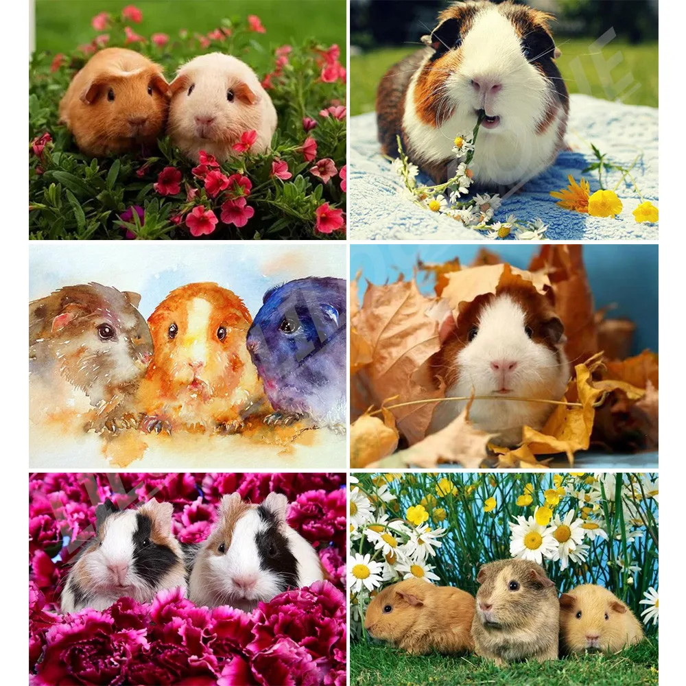 5d diy алмазная живопись полная вышивка крестиком милые животные морская свинка