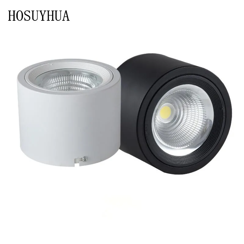 LED Downlights 10W 15W 20W 25W Surface Mounted Ceiling Lamps Spot Light AC85-265V Surface Mounted Down Light White/Warm white