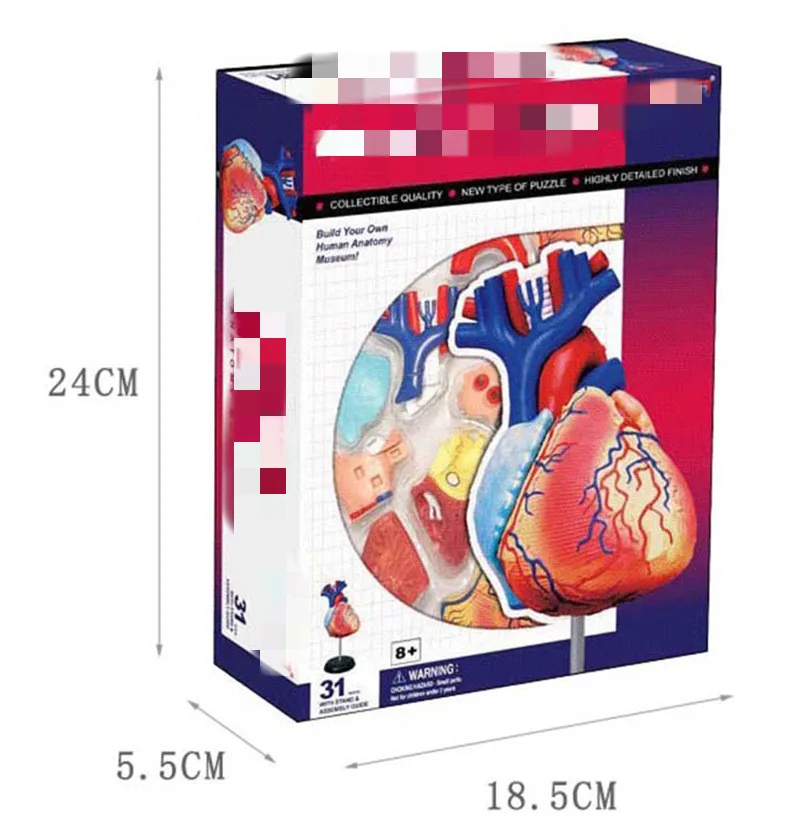 Heart 4D биологические развивающие игрушки собранные человеческие органы висцеральное сердце анатомическая модель биологические игрушки головоломка - Цвет: Heart