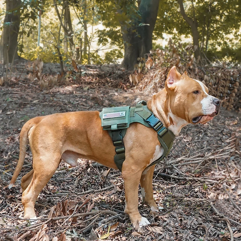 Arn&eacute;s t&aacute;ctico para perros, chaleco militar sin tirones para perros medianos y grandes, para entrenamiento, senderismo, Molle, con bolsa de almacenamiento-5
