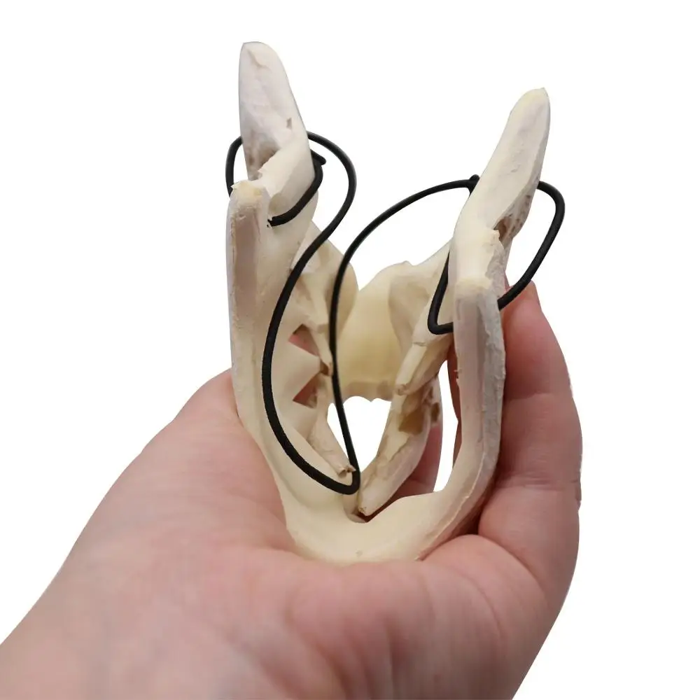 Полумаска с животным на Хэллоуин белая маска костью Tengu Dragon Yaksa тигровая