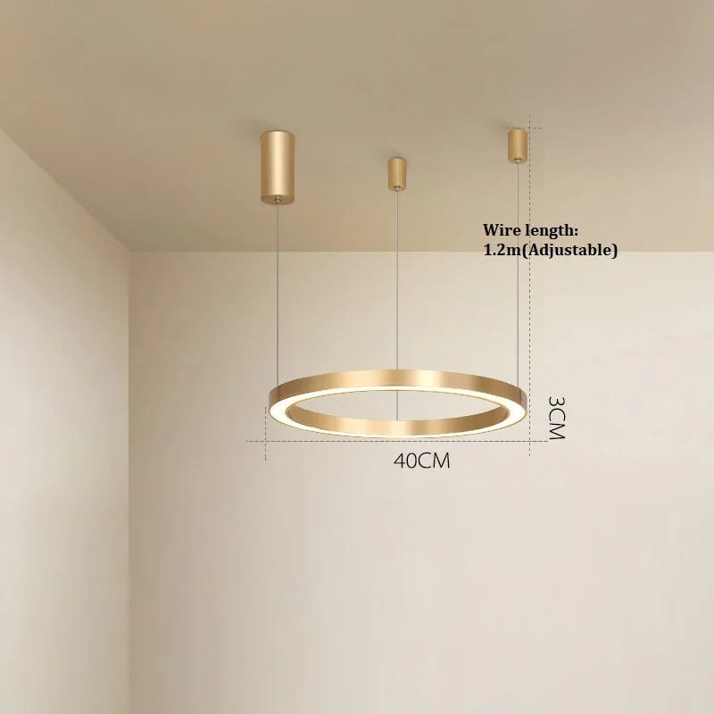 1ring D40cm LukLoy, новинка, Современные Простые Кольца, люстра, для дома, гостиной, подвеска, Золотая лампа, подвеска для столовой, затемненный Лофт светильник - Цвет абажура: 1ring D40cm