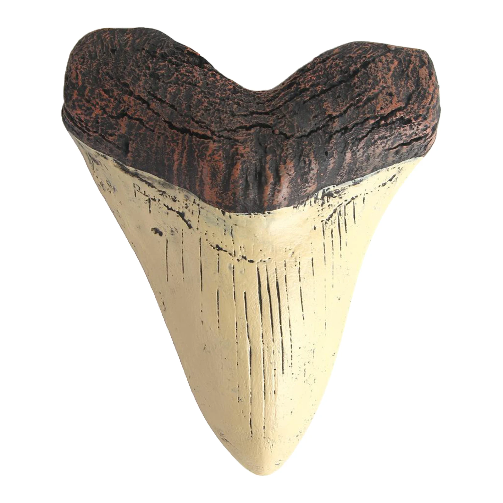 Giant Shark Teeth Статуэтка-Череп модели домашние украшения для Хэллоуина коллекционные