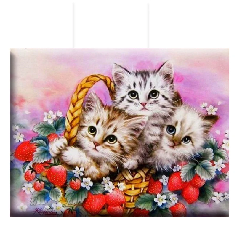 Алмазная картина полностью круглая вышивка кошка изображение животных