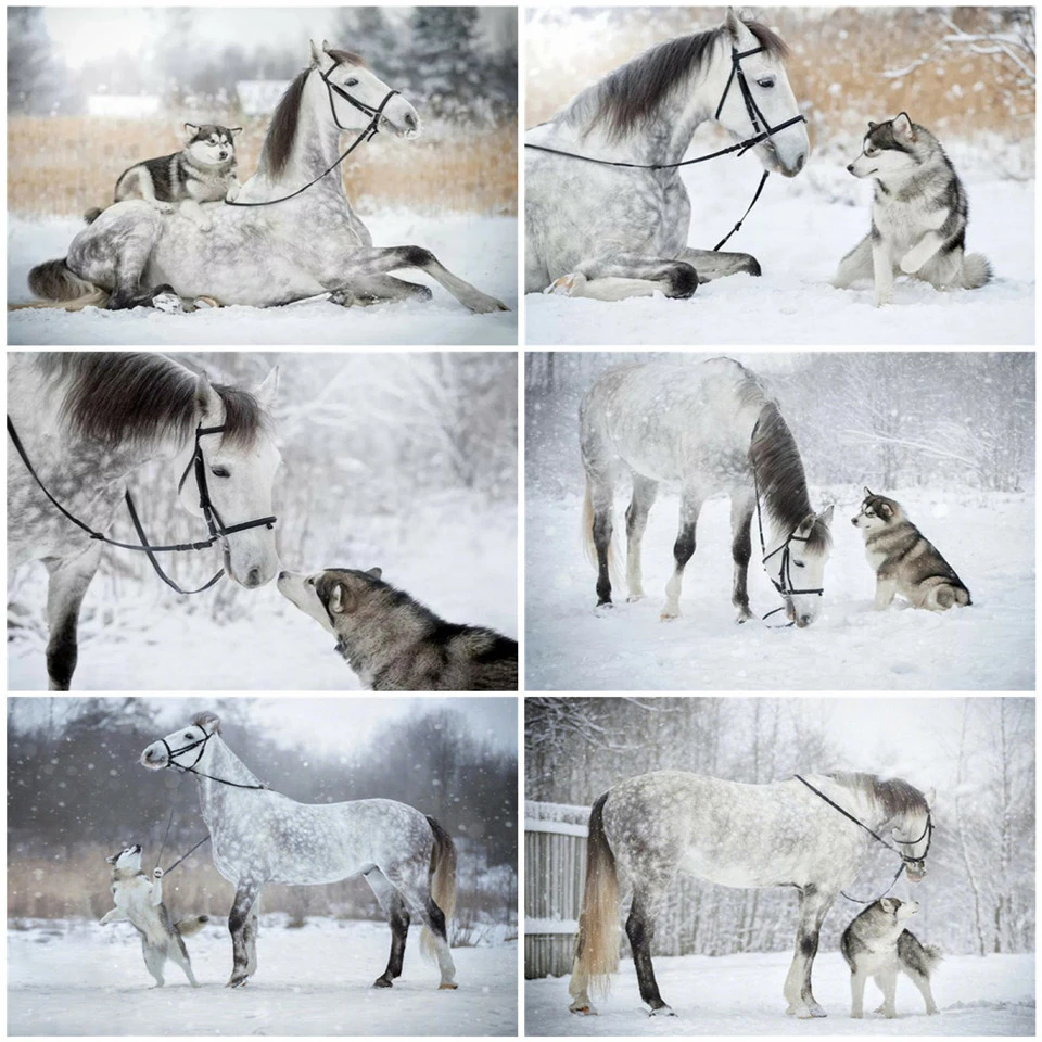 

Kamy Yi Diy 5d Square Diamond Handmade Round Rhinestone Cross Stitch Snow Horse And Husky Animal Picture Home Decoration Gift