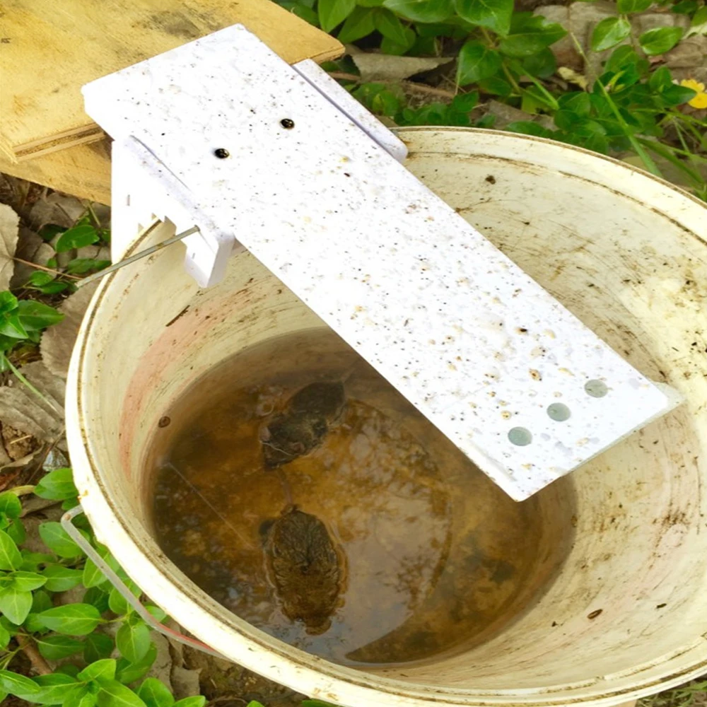 

Mouse Trap Catch Rat Trap Catch Walk The Plank Humane Bucket Mice Auto Reset