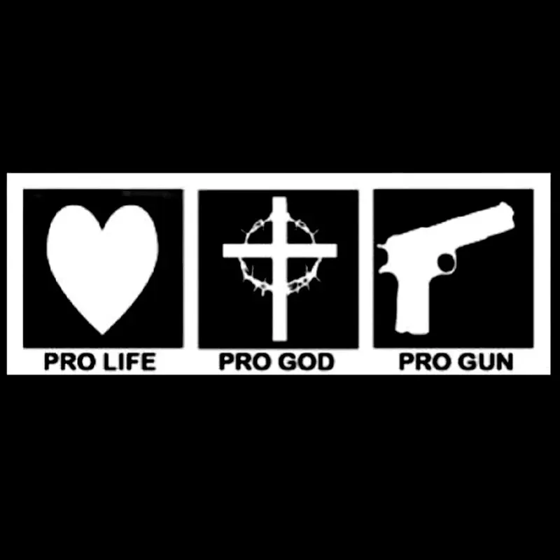 

Hot Sell Pro Life Pro God Pro Gun Car-Sticker and Decals Lovely for Window Motorcycle Anti- Car Accessories Interior PVC15*6cm