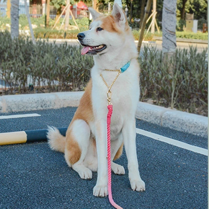 Градиентный цветной ошейник для собак поводки веревка металлическая цепочка