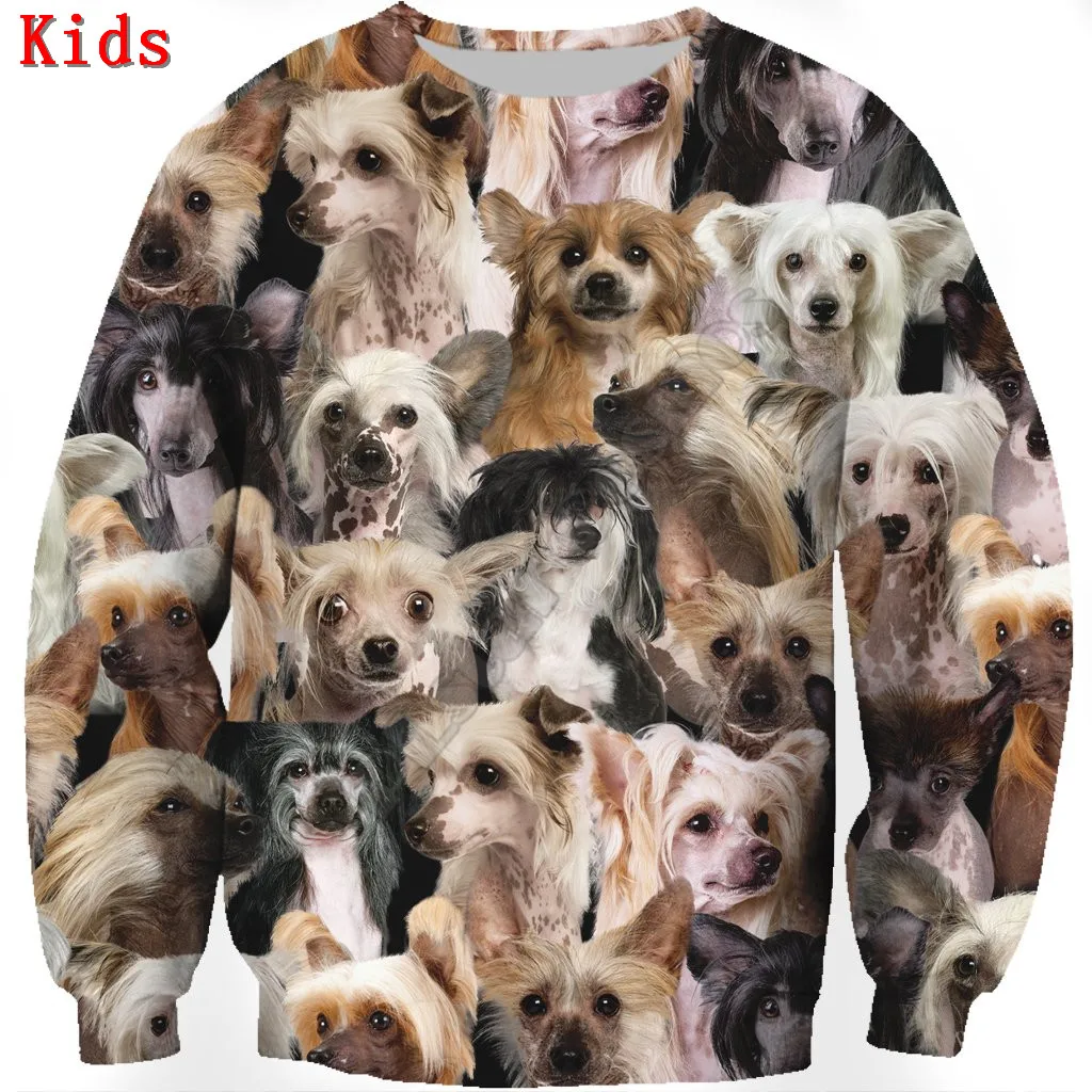 You Will Have A Bunch Of Dachshunds 3D printed Hoodies Boy Girl Long Sleeve Shirts Kids Funny Animal Sweatshirt