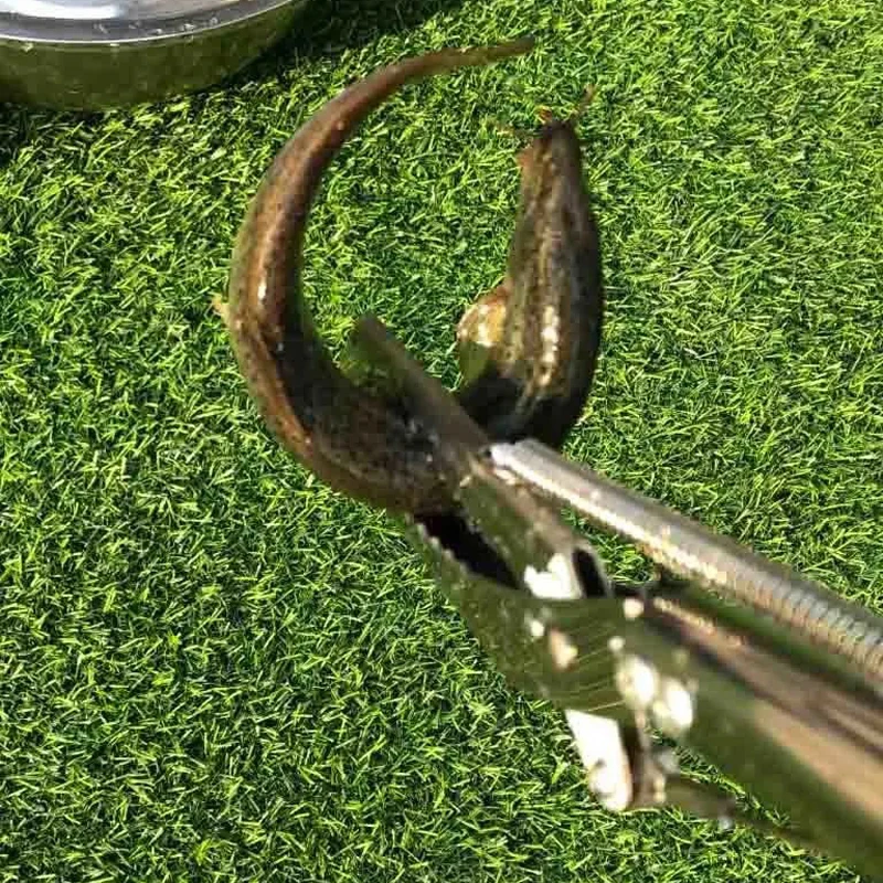 Pinzas de serpiente plegables de 1,2 m, recogedor de reptiles, alicates de mand&iacute;bula ancha plegables, suministro de herramientas de Control de serpiente de acero inoxidable-3