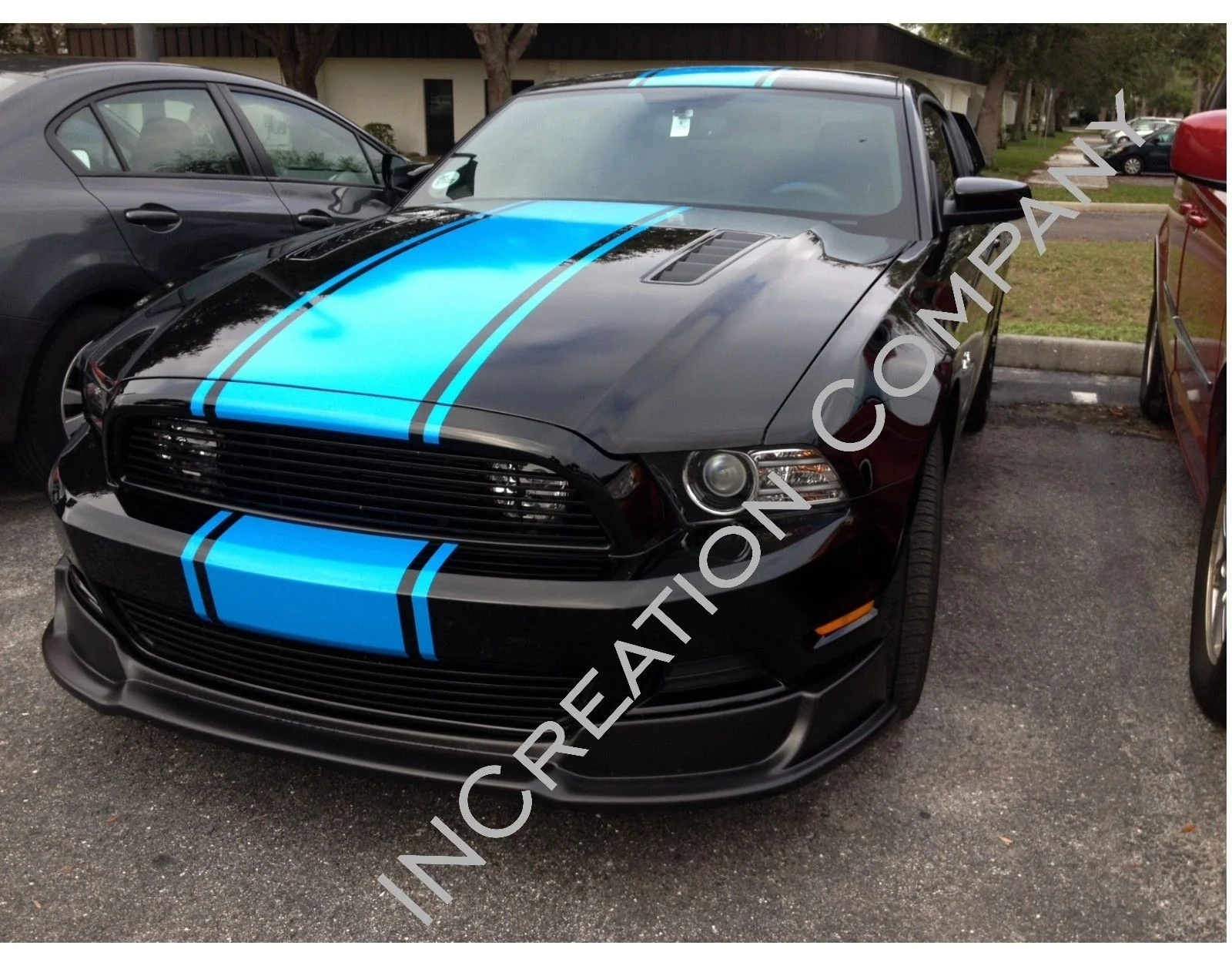 

For Decals Racing Stripes Ford Mustang Shelby Sport Hood Bumper Only, Viper