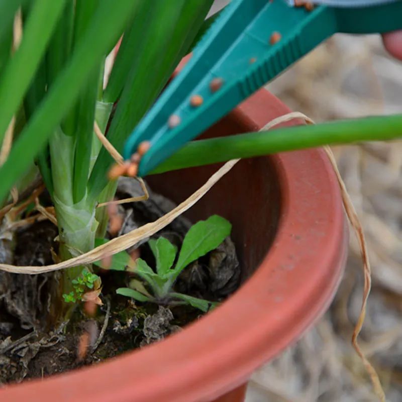 Сеялка садовые инструменты 5 в 1 регулируемый семян Sower для суккулент раздатчик