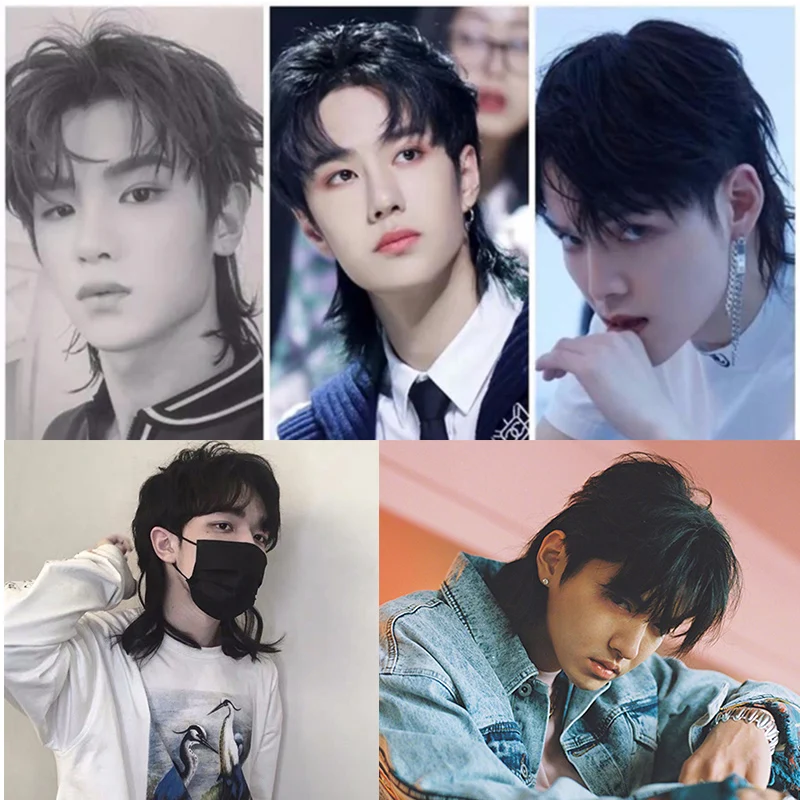 

DIANQI Synthetic Short Straight Middle Part Hair For Boy Party Black Heat Resistant Fake Hair Mullet Fish Head Type Men Wigs