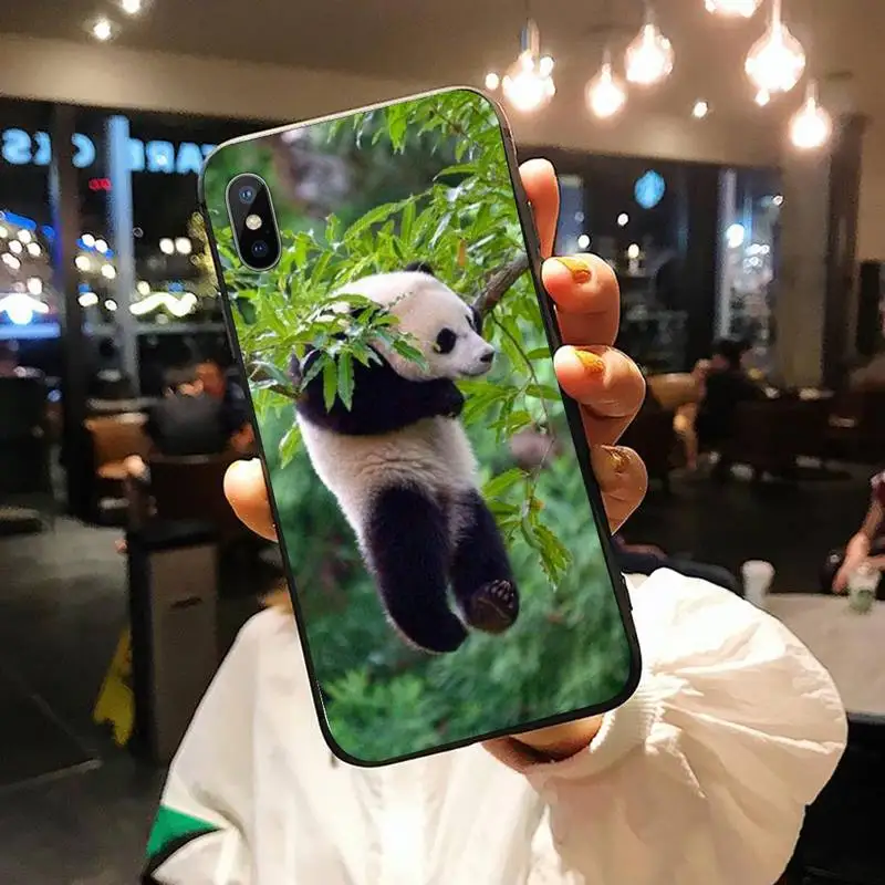 

panda cute funny animal Phone Case for iPhone 11 12 mini pro XS MAX 8 7 6 6S Plus X 5S SE 2020 XR luxury coque funda shell