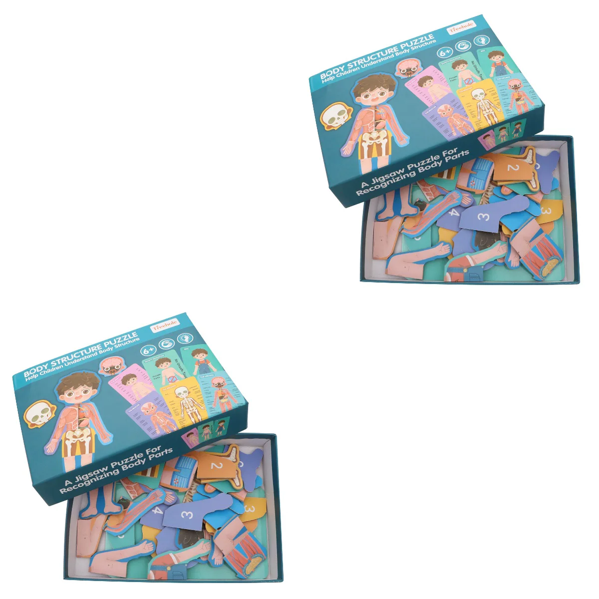 

2 Sets of Children Toys Educational Puzzle Enlightenment Cognitive Jigsaw Puzzle (Boy Body Structure English Pattern)