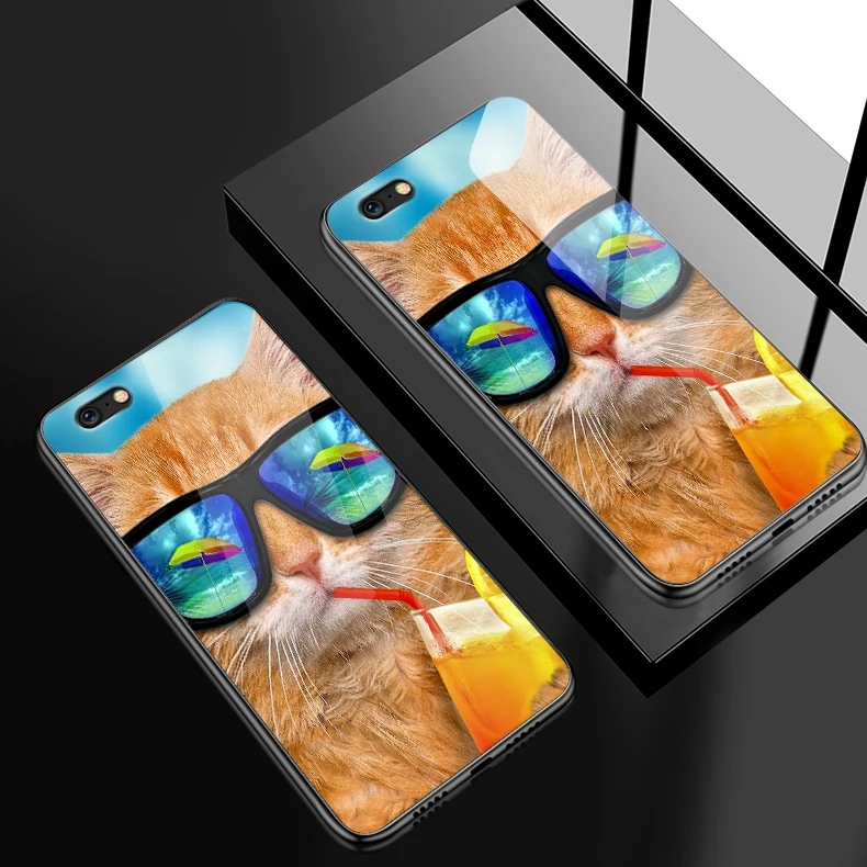 H113 Противоударный жесткий чехол для iPhone 5S, SE 6 6S 7 8 Plus XR XS MAX для Meizu M5 M6 M8 M9 Note 16th Plus Роскошный чехол из закаленного стекла - Цвет: H113