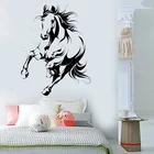 Виниловая наклейка на стену с изображением кошачьей лошади
