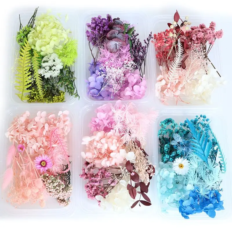 

1 Box Real Mix Dried Flowers for Aromatherapy Candle Resin Jewellery Dry Plants Pressed Flower Making Craft DIY Accessories Home