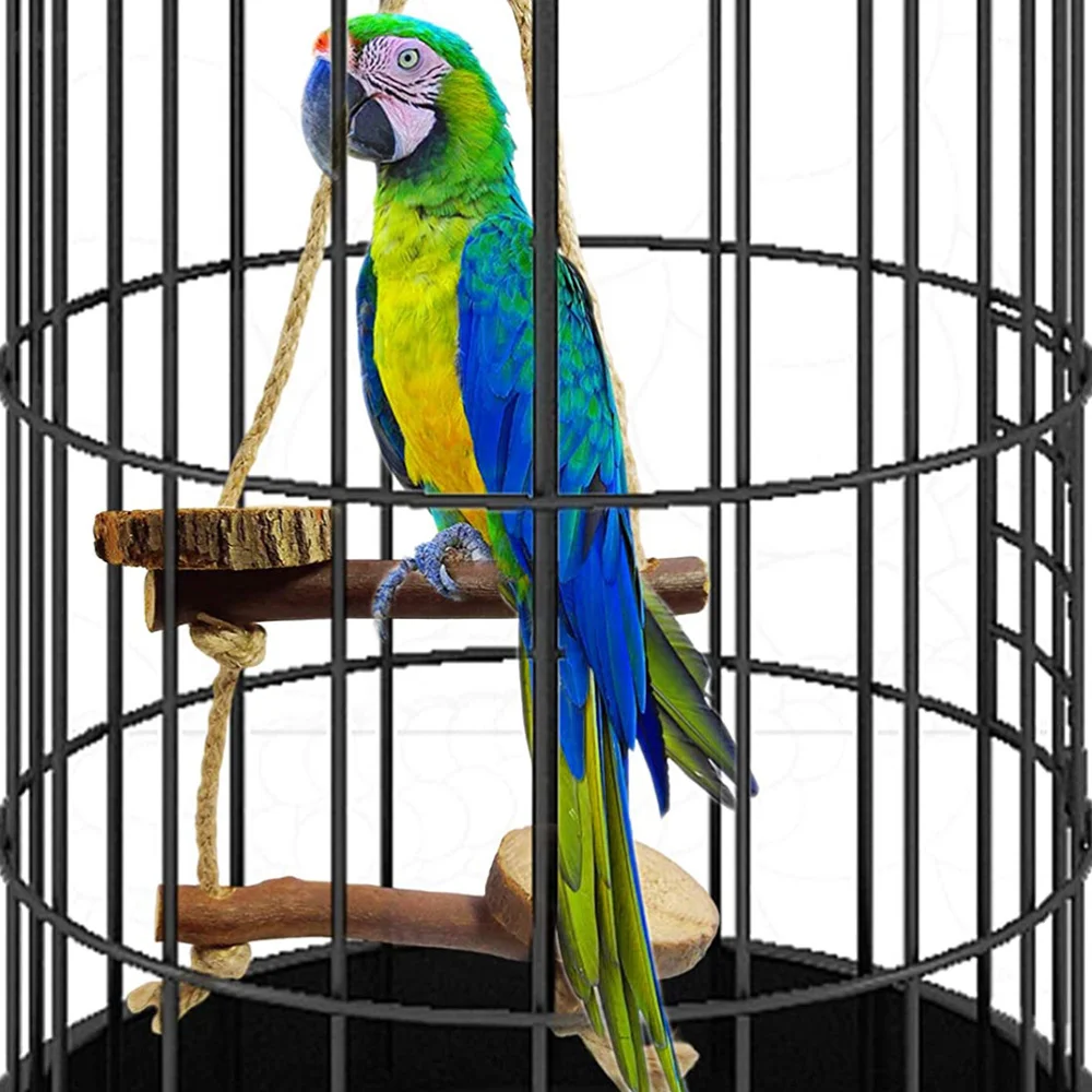 

10pcs Parrot Perch Stand Bird Training Rack Parrot Training (RandomColor)