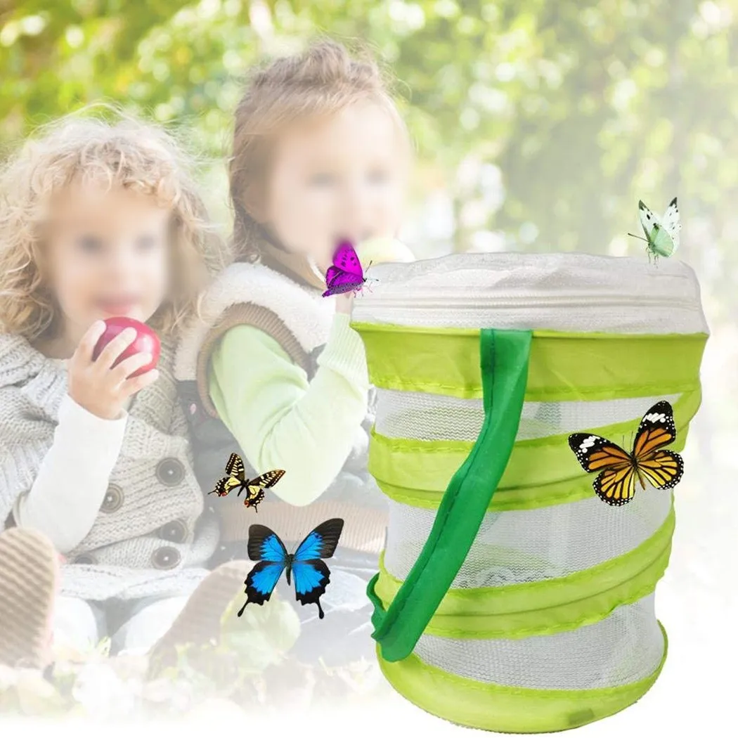 Складная маленькая молитвенная палочка для мантиса насекомое Бабочка