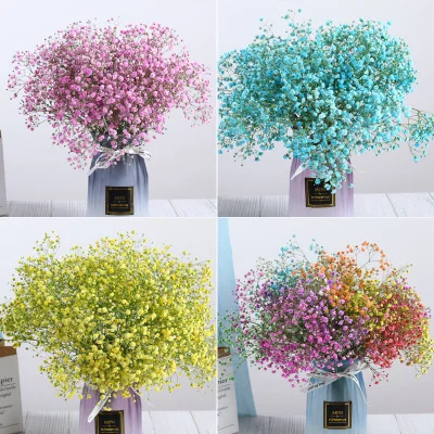 

Natural Fresh Dried Preserved Flowers Gypsophila paniculata,Baby's Breath Flower bouquets gift for Wedding Decoration,Home Decor