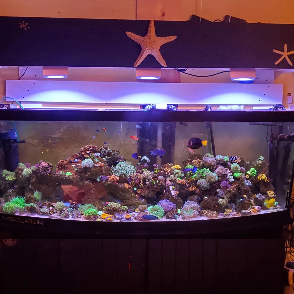 PopBloom luz led para acuario, led acuario marino, lampara acuario, pantalla led acuario, luz acuario coral, luz de acuario marino reef, iluminacion acuario para acuario marino reef, luz led pecera, Turing RS90-1