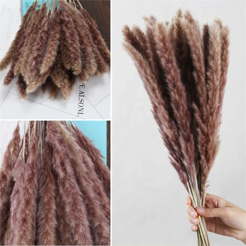 pampa decoration communis phragmites pampas grass large bouquet sechees bulrush wedding arrangement dekoration reeds flower home free global shipping