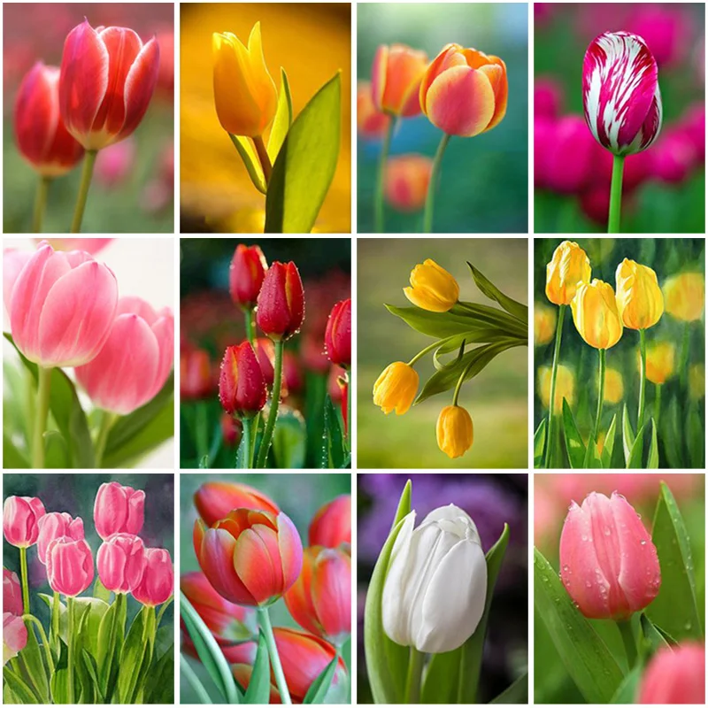 

5D DIY Diamond Painting Flower Full Square Drill Diamond Embroidery Cross Stitch Kit Rose Resin Mosaic Home Decor Wall Art Gift