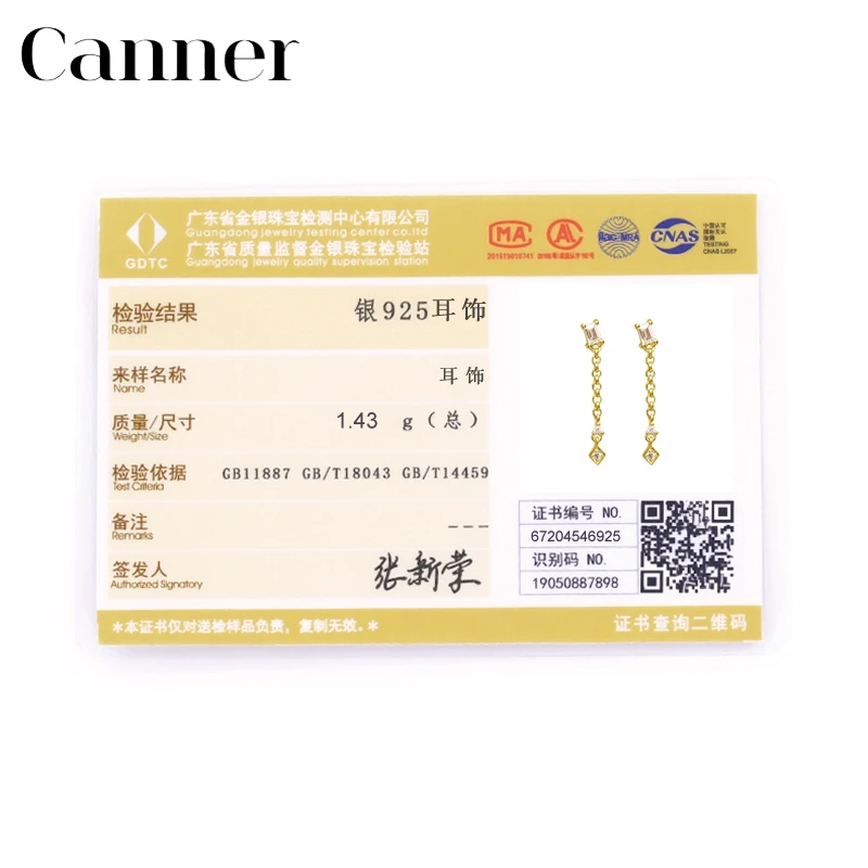 

Canner Pendientes Plata 925 Earrings For Women Chain Crystal Clear Zircon Earings Korean Jewelry Piercing pendientes Aretes W5