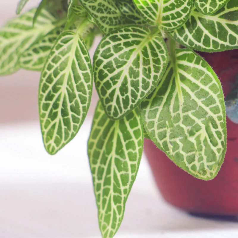 

Castle Flower Pot Resin Flowerpot Succulent Plant Pots Garden Bonsai Home Garden Decoration