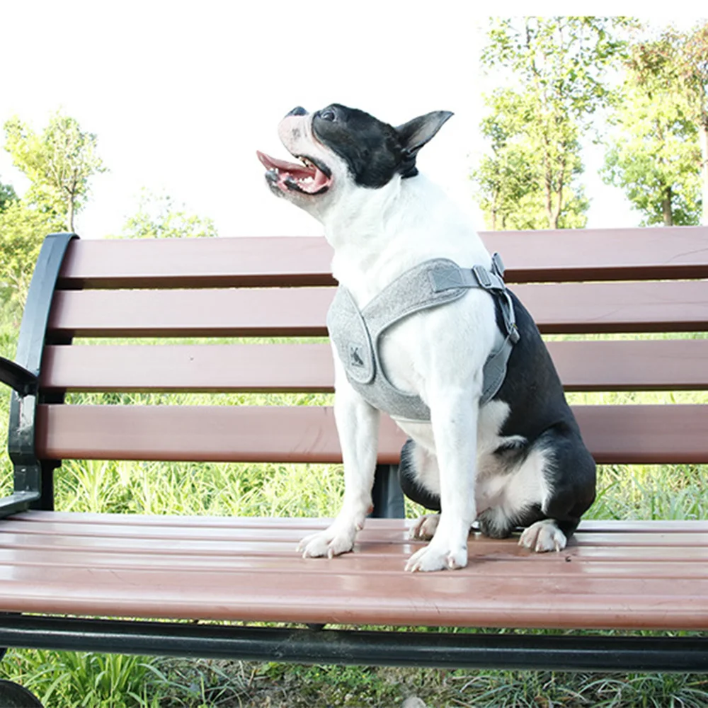 Светоотражающая шлейка для собак щенков из мягкого дышащего материала | Дом и сад