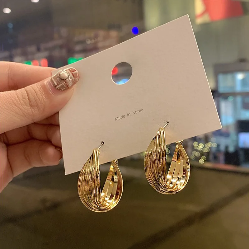 

925 Silver Needle European And American Fashion Temperament Net Red Simple Personality Geometric Twist Metal Ear Ring