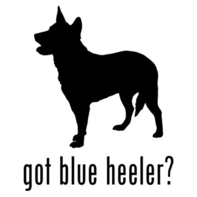 Got Blue Heeler Herding Dog для авто автомобиля/бампера/окна виниловая наклейка наклейки DIY
