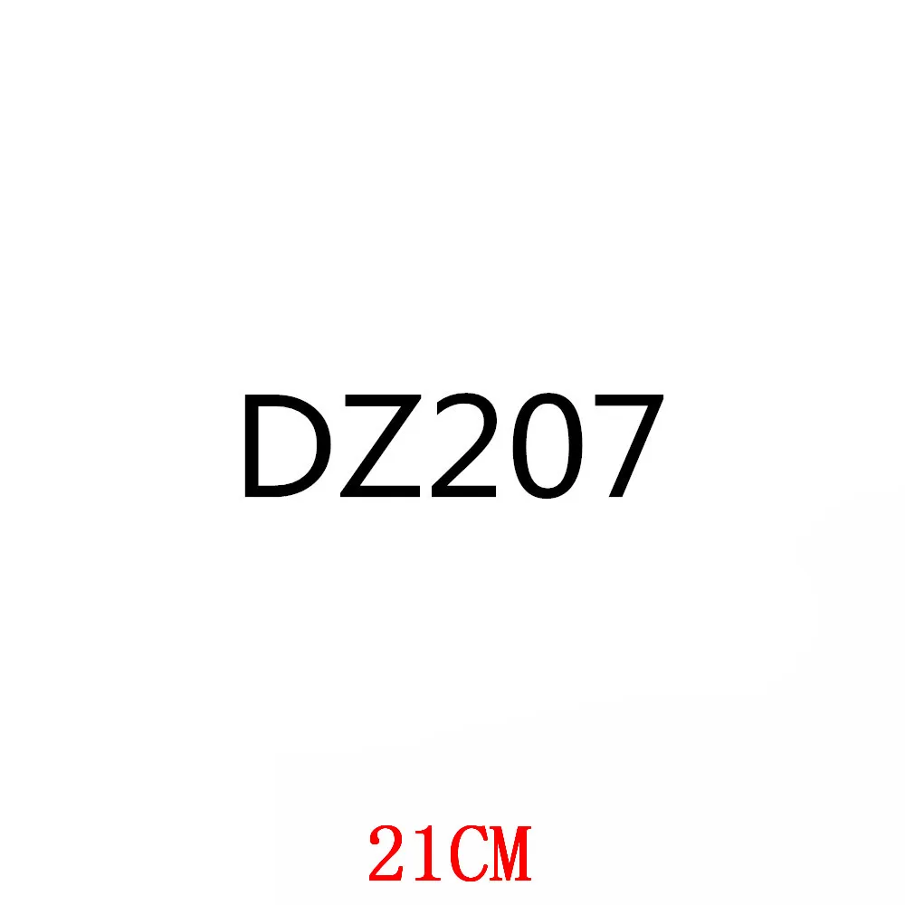 

DZ207-21