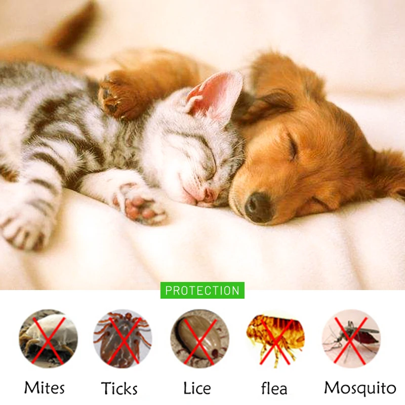 Собачий Кот отпугивает клещевые блохи быстро убивает животных защита от запаха