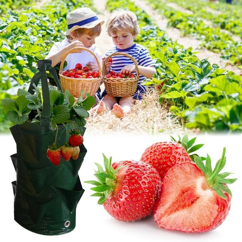 

Outdoor Garden Strawberry Planting Bag Yard Hanging Compost Strong Grow Horticultural Flower Planting Bag with Handles Pockets