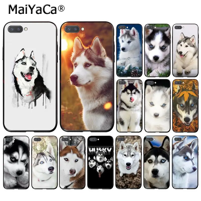 

MaiYaCa Animal Dog Husky Phone Case for Huawei Honor 8X 9 10 20 Lite 7A 8A 5A 7C 10i 8C 7A 9X Pro