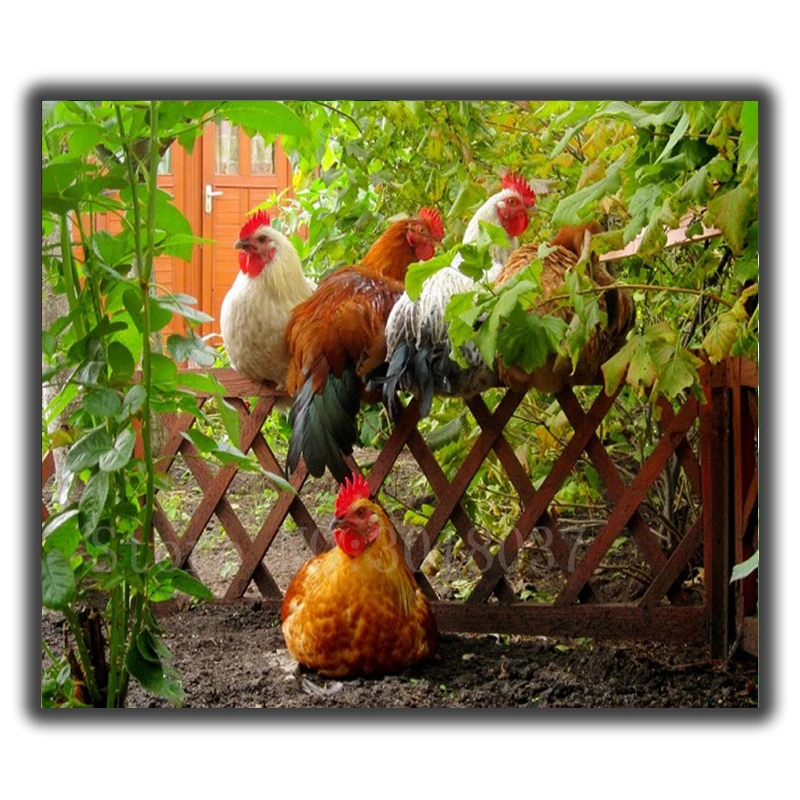 

Алмазная мозаика «сделай сам» Алмазная вышивка растения под Крутым петухом и курицей, полностью алмазная живопись, вышивка крестиком стразы, украшения для дома