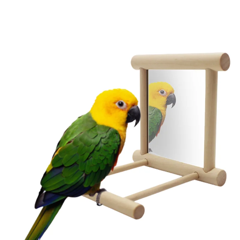 

Wooden Pet Toy Mirror Fun Brid Toy For Cockatiel Parrots Small Birds Hanging Mirror Bell Parrot Toys Parrots Climb Accessories