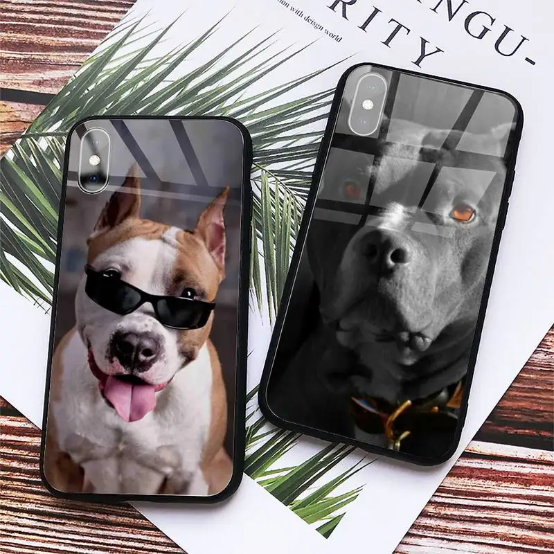 

Pit Bull Lovely Pet Dog Pitbull Phone Case Tempered glass For iphone 6 7 8 plus X XS XR 11 12 13 PRO MAX mini