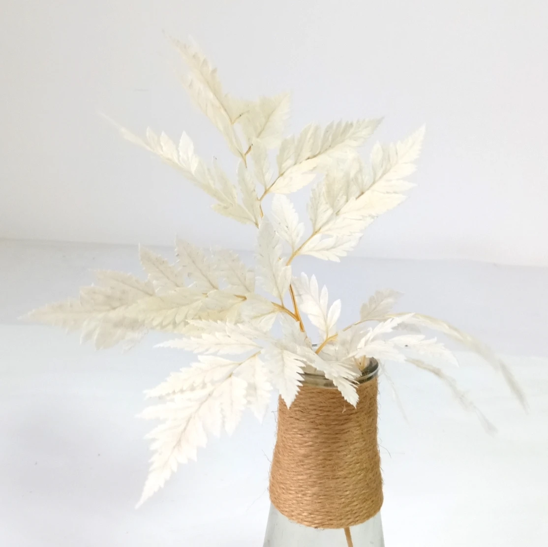 

Preserved Natural Fern Flower Bouquet, Pressed Plant Flower