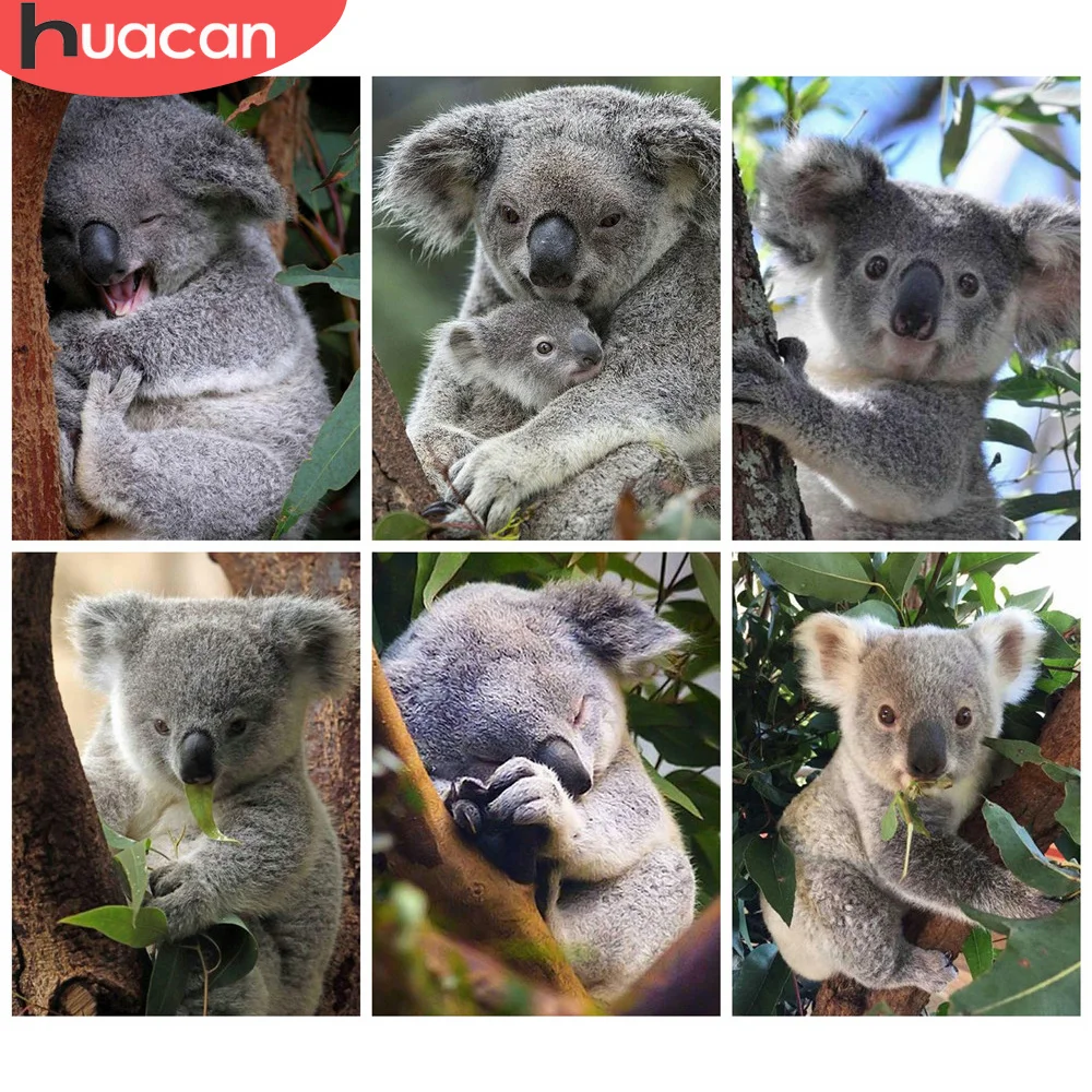 HUACAN картины алмазная вышивка животные Алмазная мозаика Коала вышивка крестиком живопись декор для дома