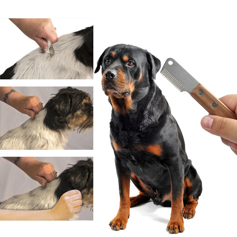 

New pet comb terrier dog plucking knife schnauzer dog grooming tool pet supplies shaving knife comb J8A5195