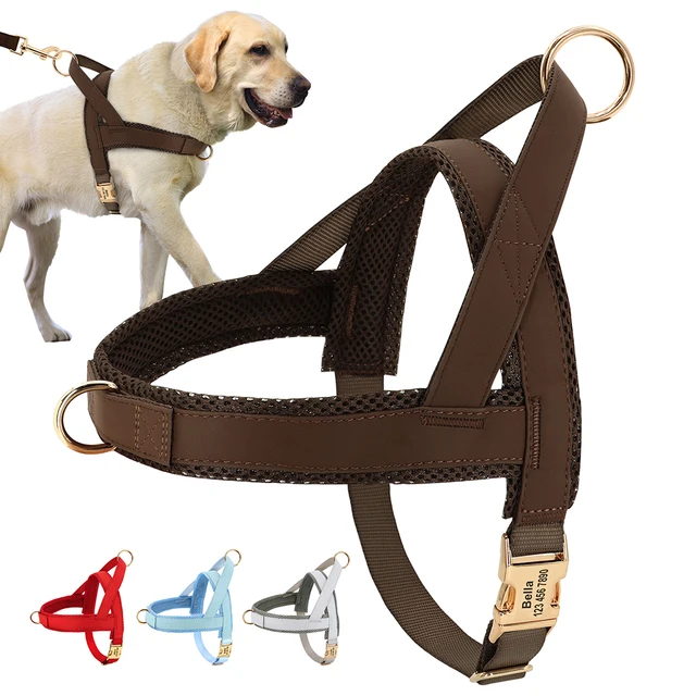 PetsHome Dog Harness & Leash Set Adjustable No Pull Safe Nylon Pet Harness  with Leash for Outdoor Walking for Dogs Medium Rainbow