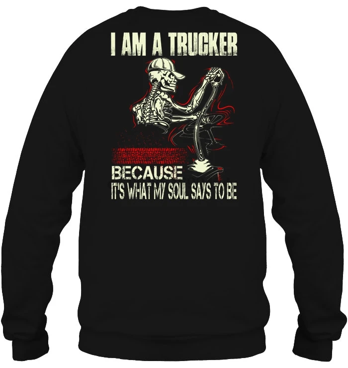 Мужская толстовка с капюшоном я Дальнобойщик потому что это то моя душа твердит