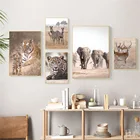 Лев тигр плакат с леопардом слон жираф зебра олень дикие животные искусство печать пейзаж холст картины Современные Картины домашний декор