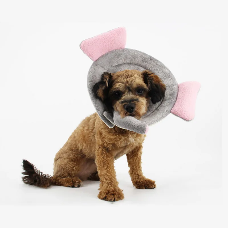 PAPASGIX модный ошейник для собак против укусов круглый милый защитный заживляющий