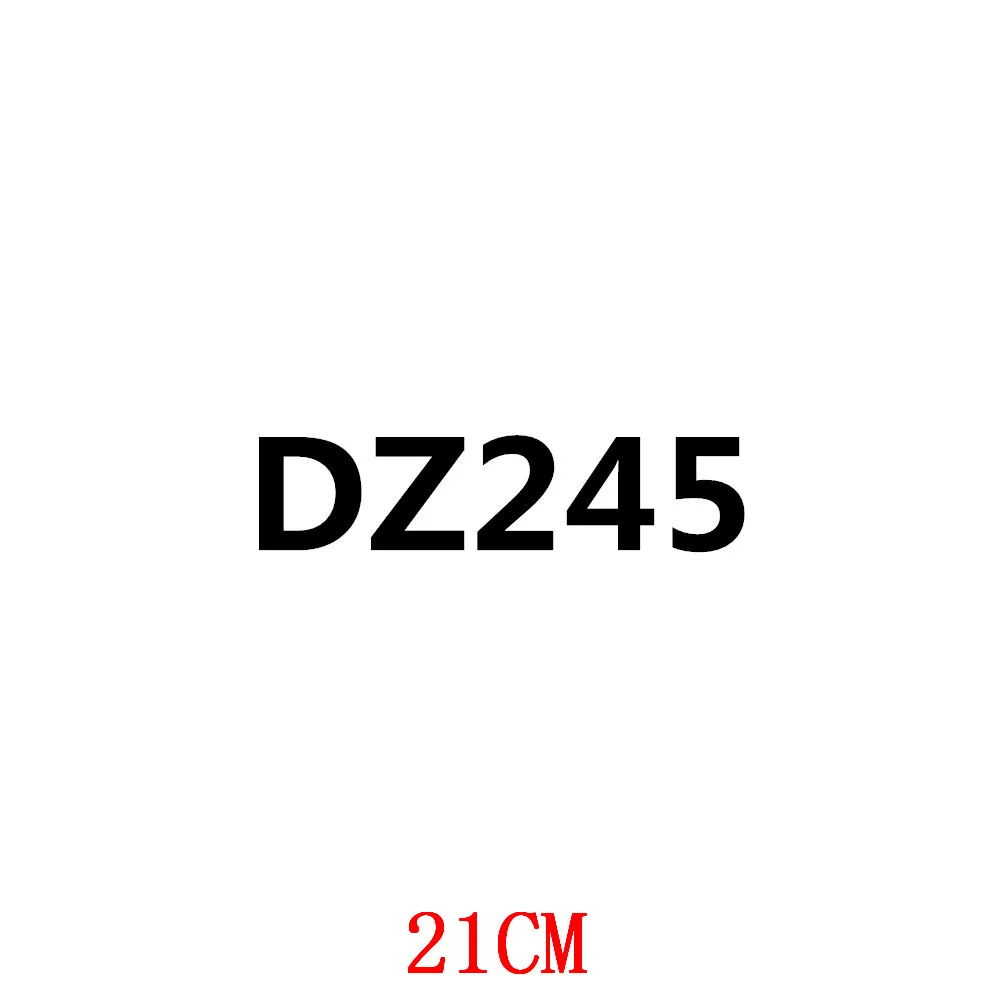 

DZ245-21